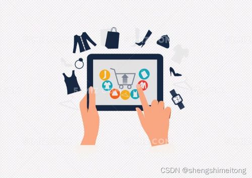 SaaS浪潮下的專(zhuān)業(yè)力量 以四川盛通美華為例看軟件外包服務(wù)的前途